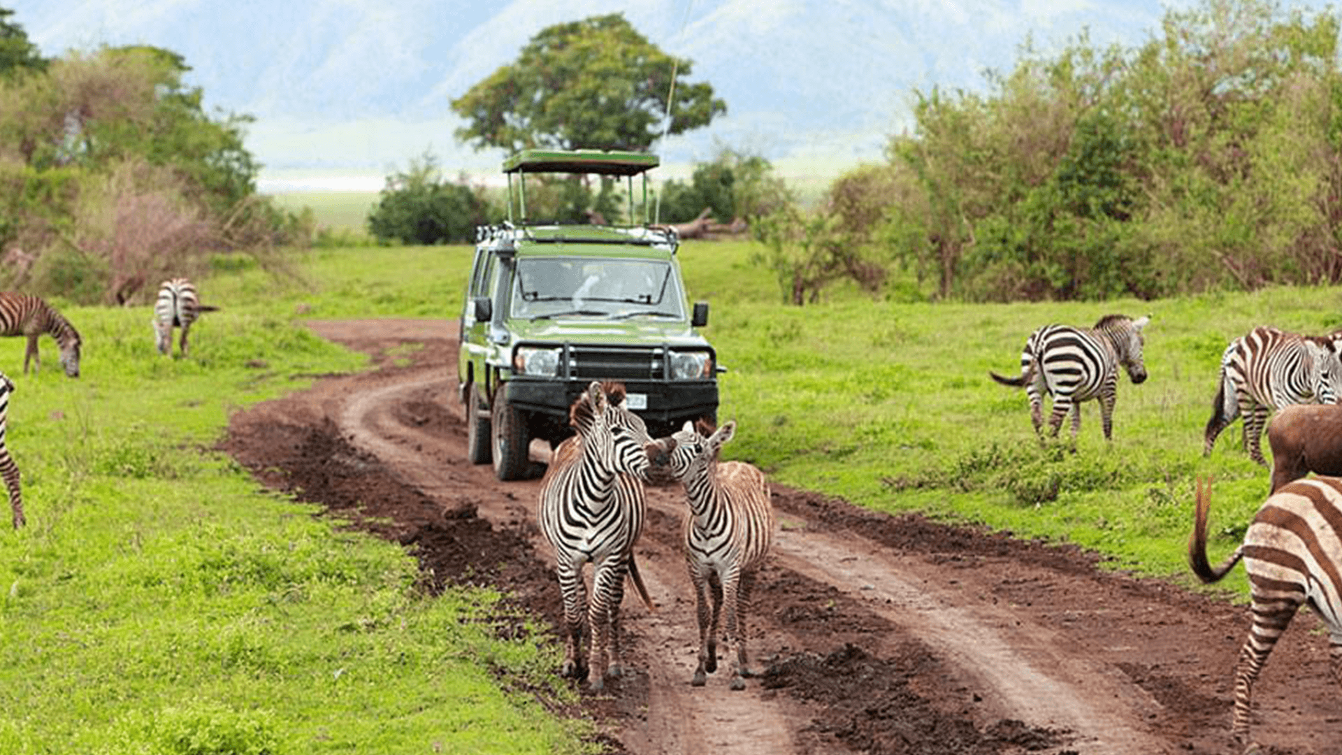 2 Days Lake Mburo National Park Safari