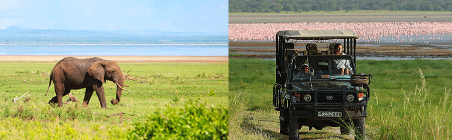 2 days Lake Manyara National Park