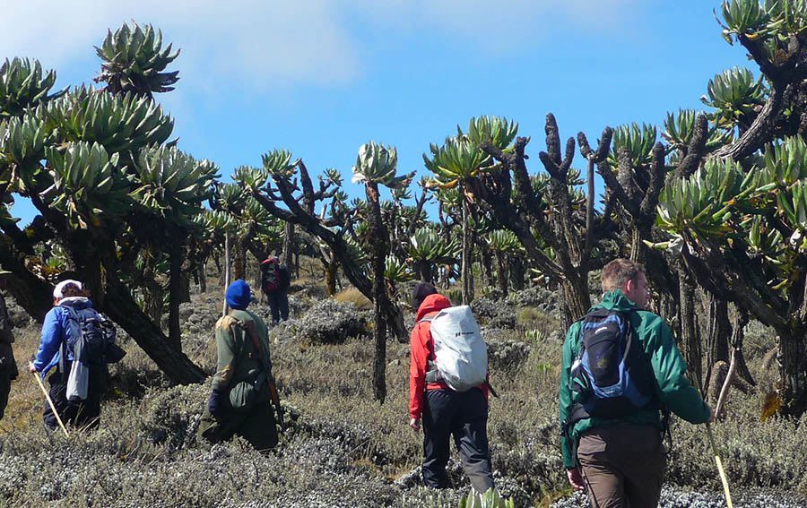 Mount Elgon National Park