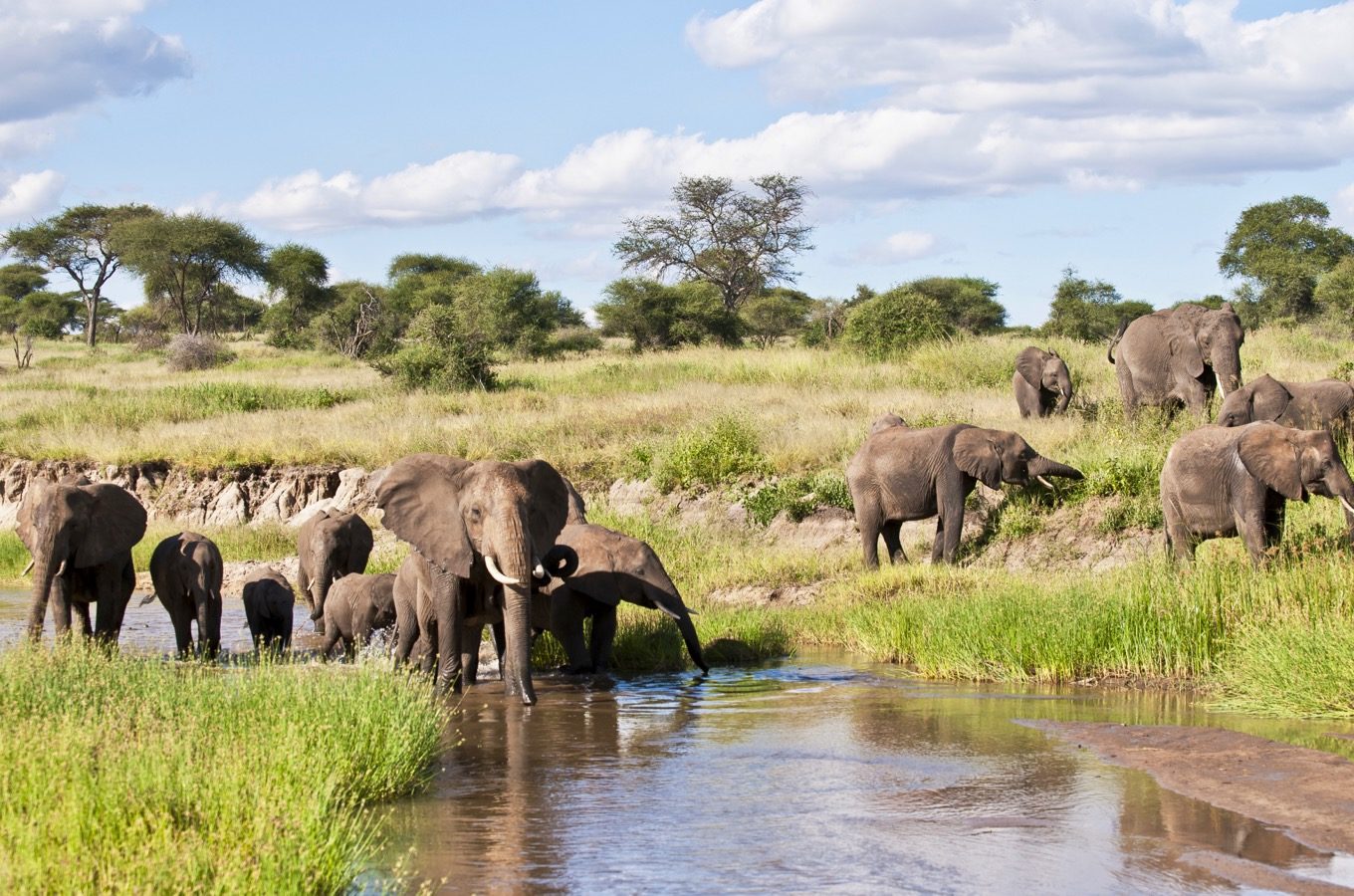 2 days Tarangire National Park safari